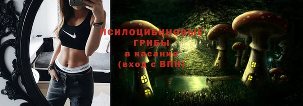 дурь Кинешма