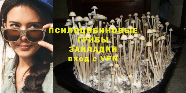 трава Киренск