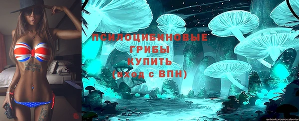 дурь Кинешма