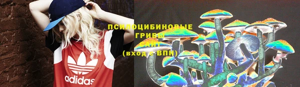 СК Киреевск